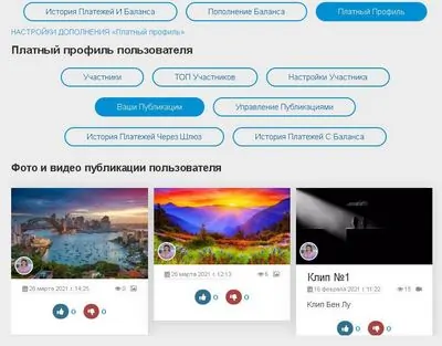 Платный профиль пользователя - плагин для WebCash